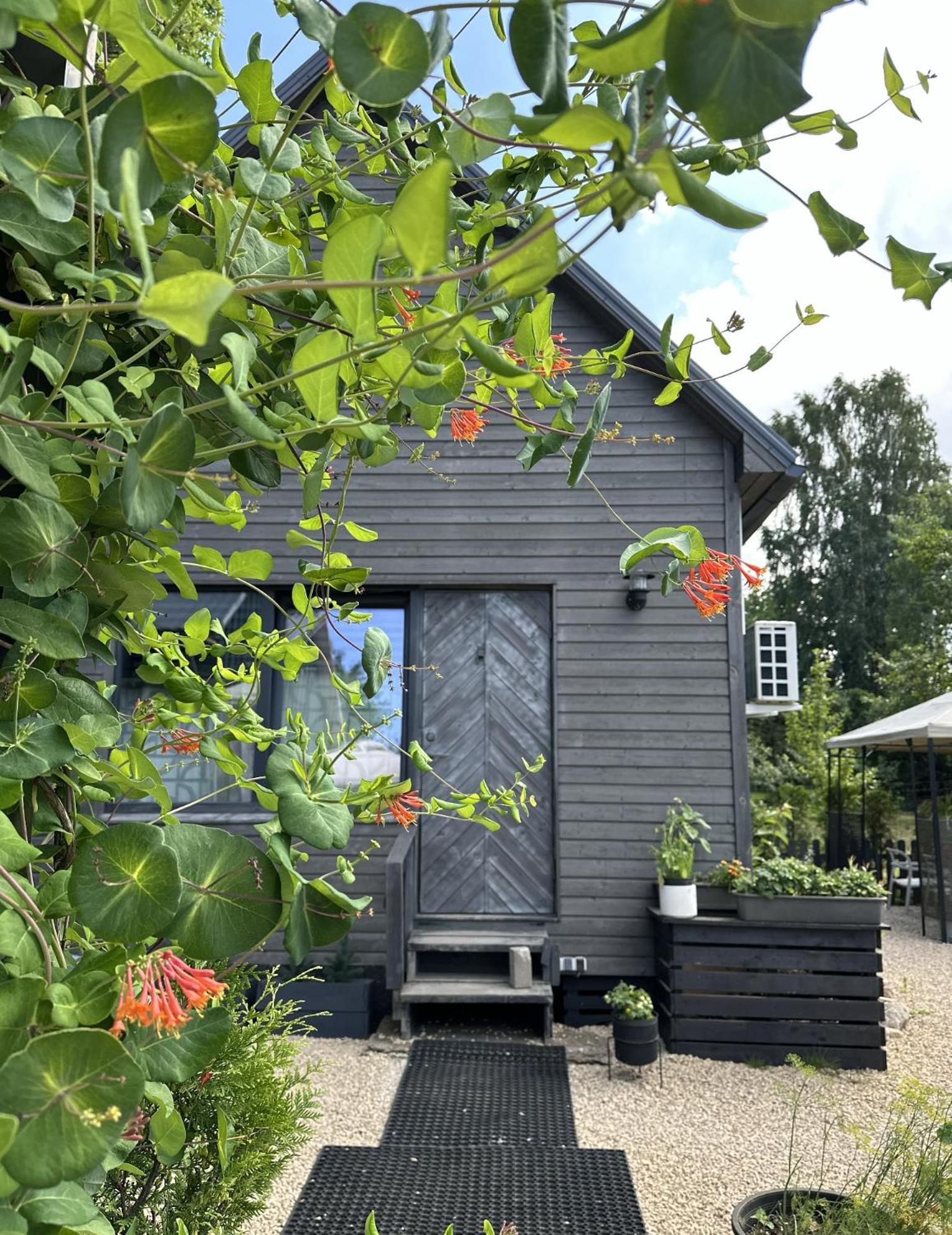 הוילה ריגה Amazing Little House On An Island With Garden מראה חיצוני תמונה