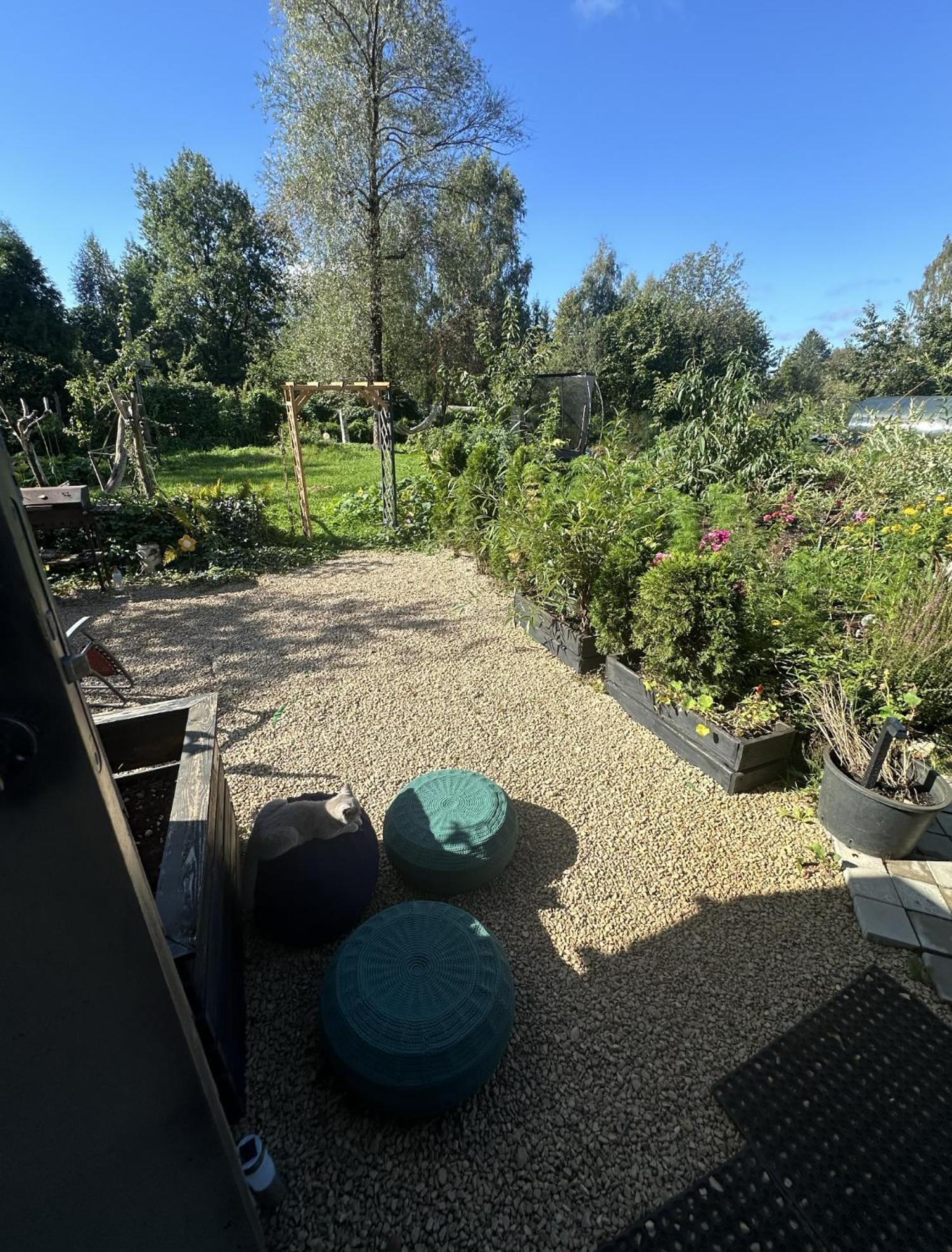 הוילה ריגה Amazing Little House On An Island With Garden מראה חיצוני תמונה